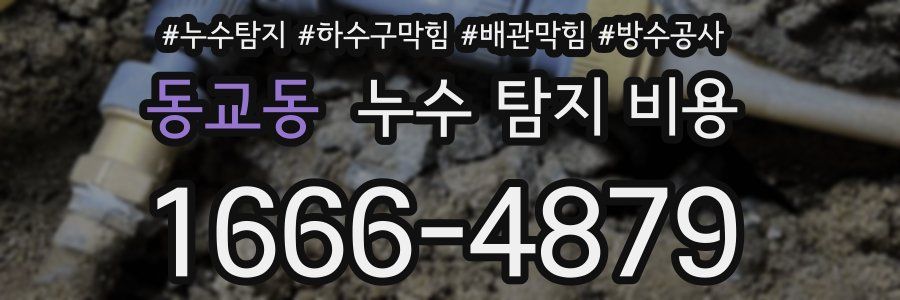 동교동 누수 탐지 비용