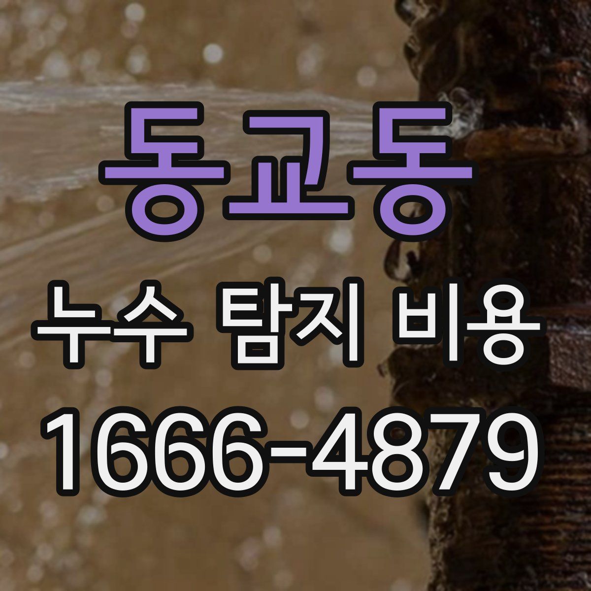 동교동 누수 탐지 비용