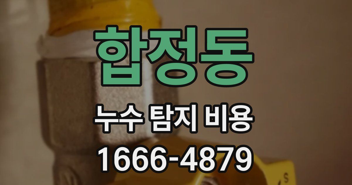 합정동 누수 탐지 비용