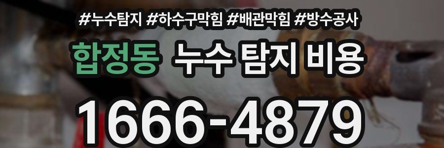 합정동 누수 탐지 비용