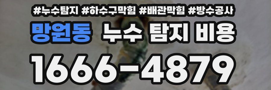 망원동 누수 탐지 비용