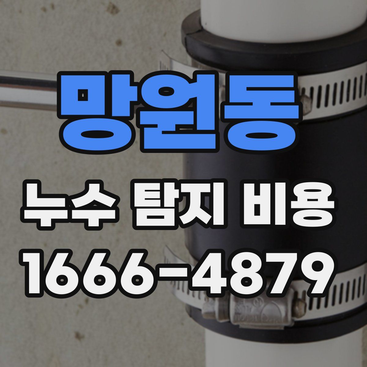 망원동 누수 탐지 비용