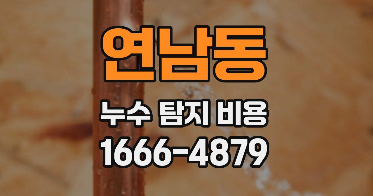 연남동 누수 탐지 비용