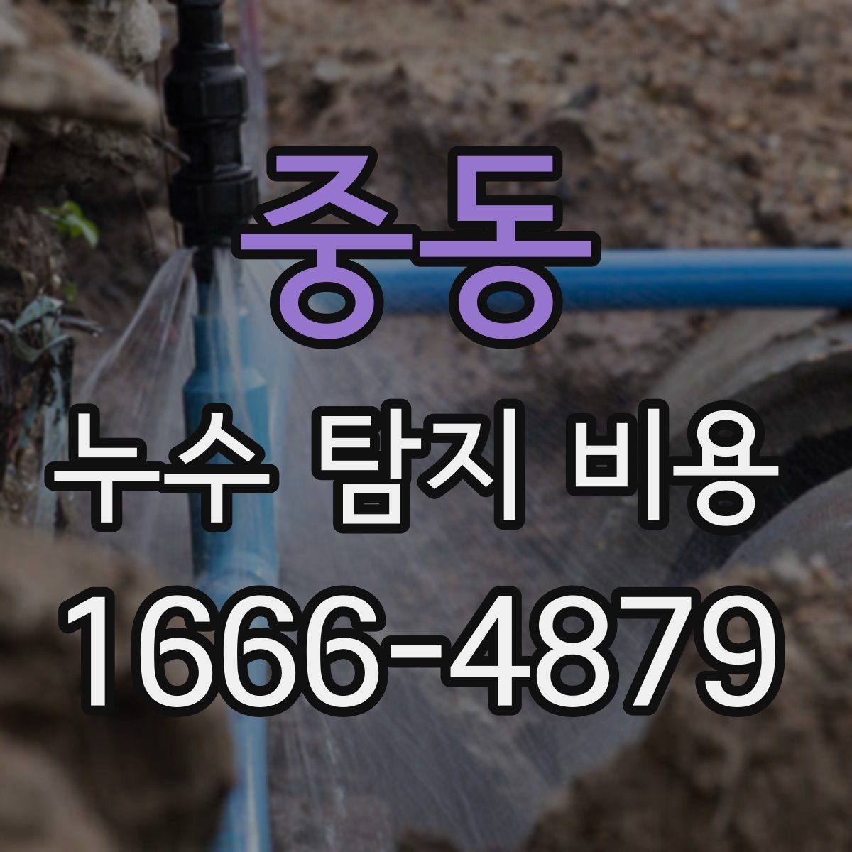 중동 누수 탐지 비용