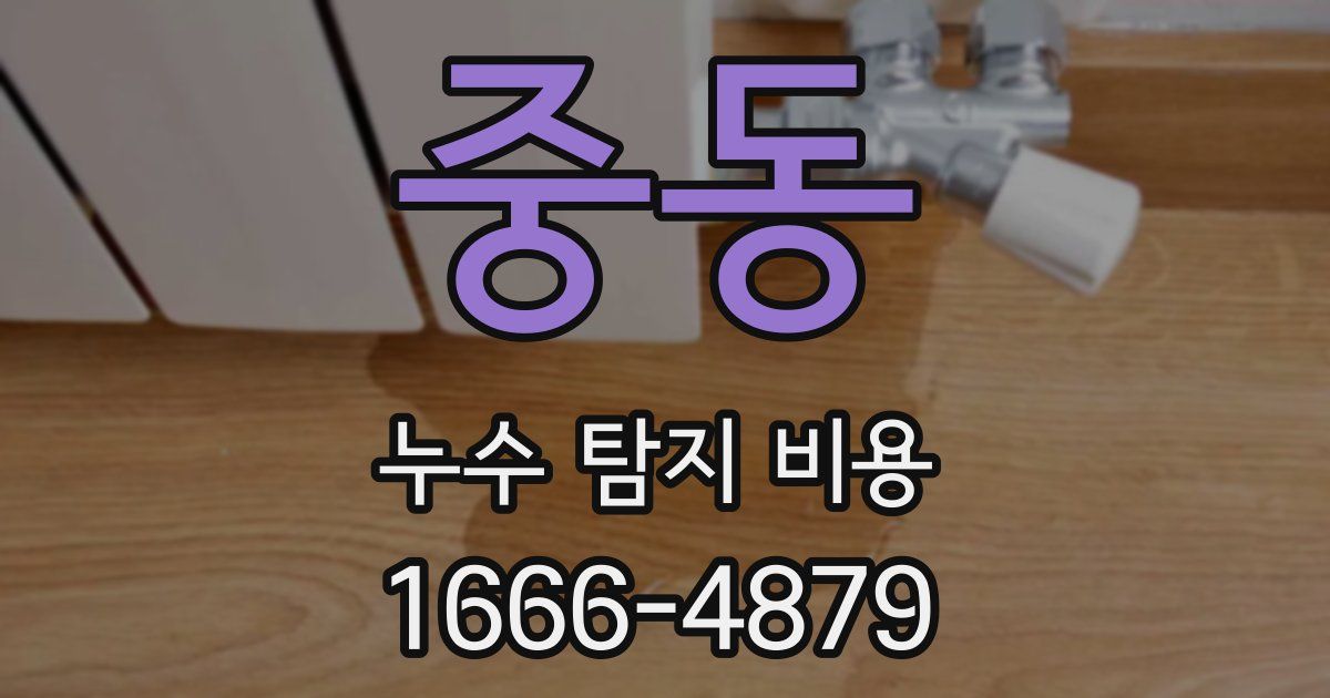 중동 누수 탐지 비용