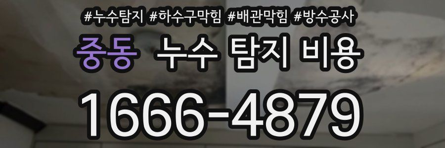 중동 누수 탐지 비용