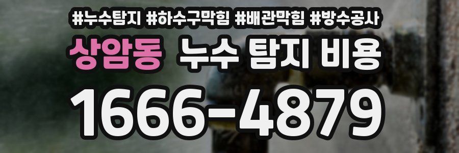상암동 누수 탐지 비용