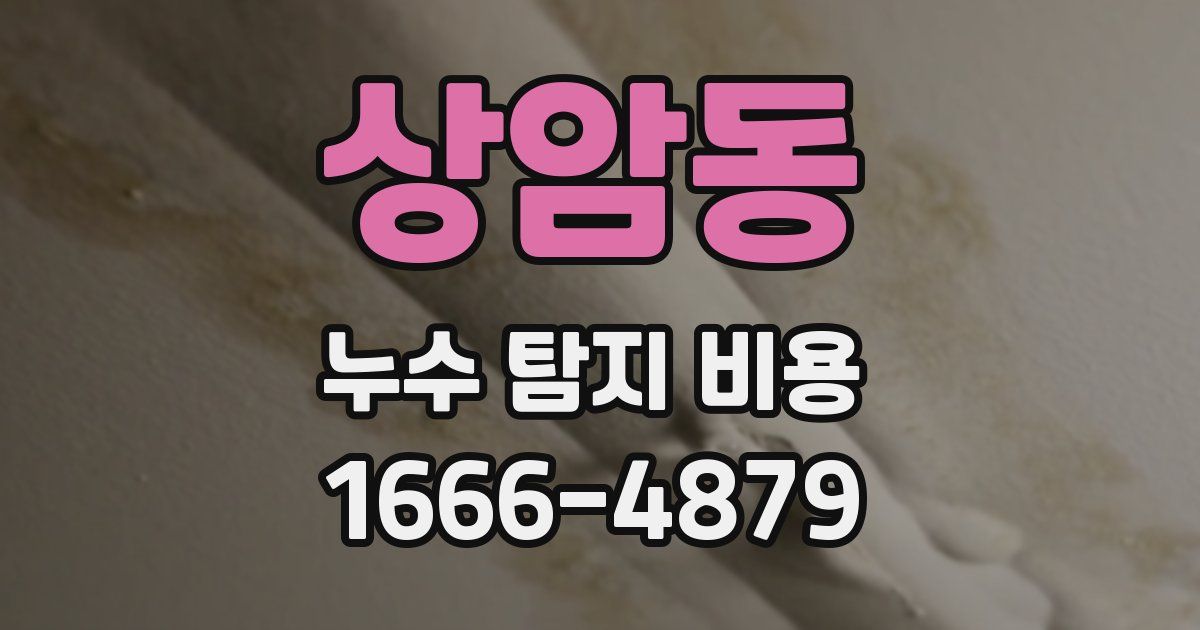 상암동 누수 탐지 비용