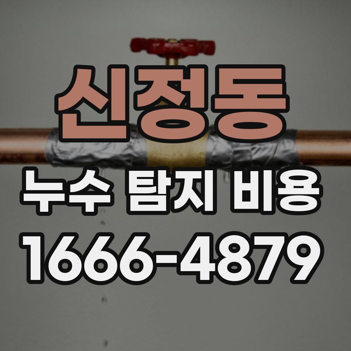 신정동 누수 탐지 비용
