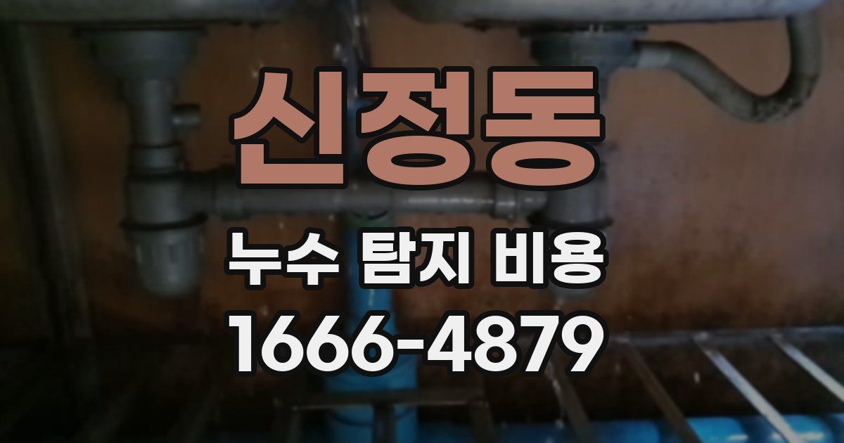 신정동 누수 탐지 비용