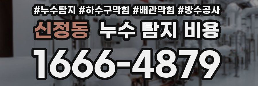 신정동 누수 탐지 비용