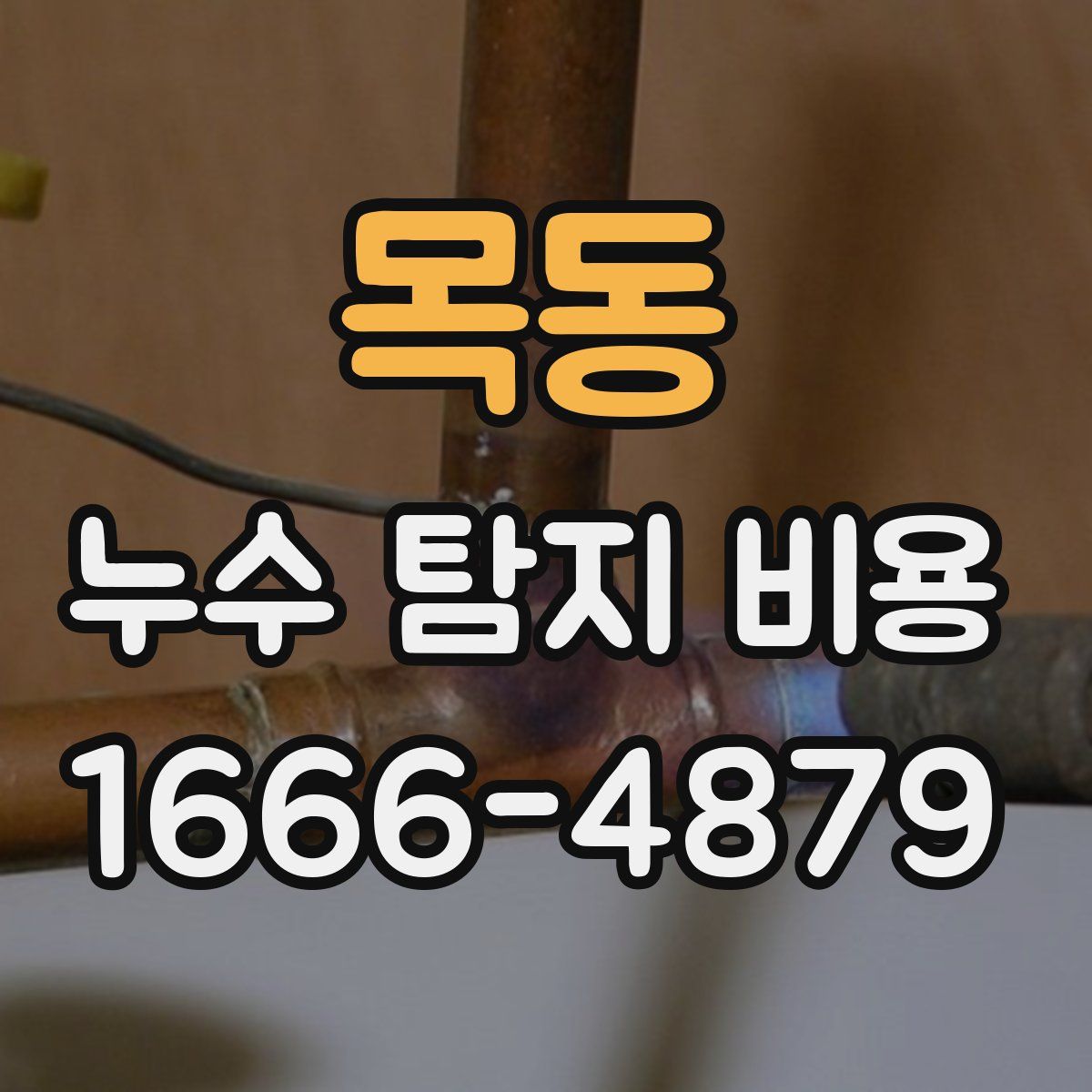 목동 누수 탐지 비용
