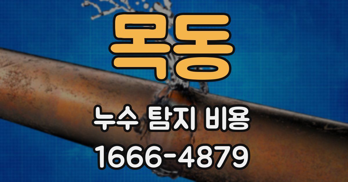 목동 누수 탐지 비용