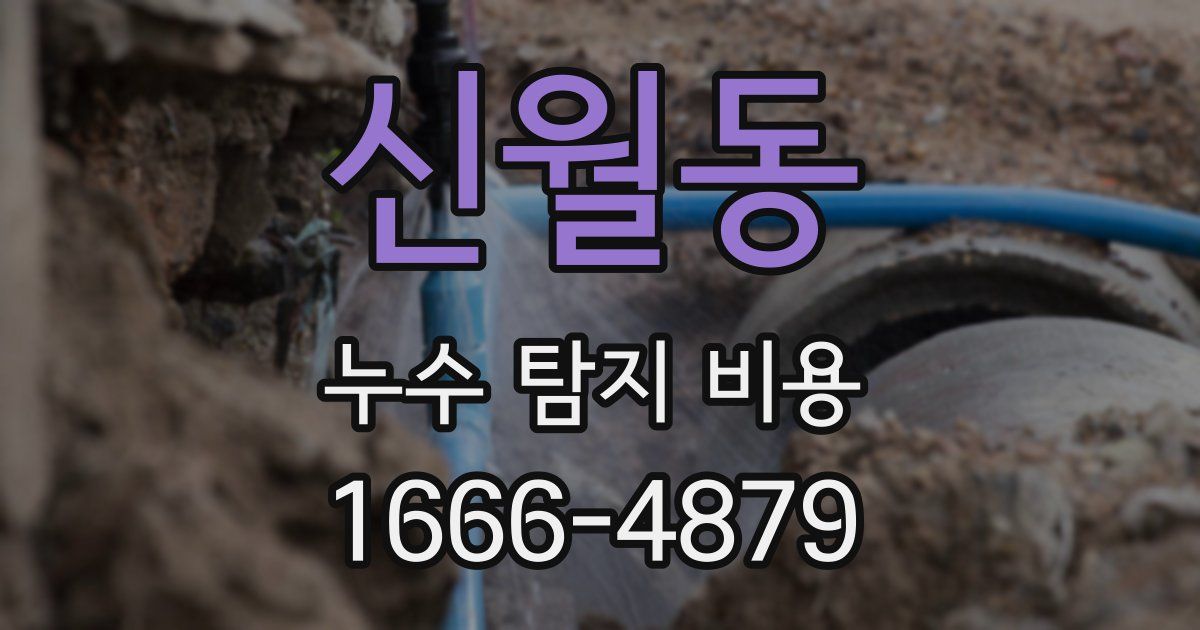 신월동 누수 탐지 비용