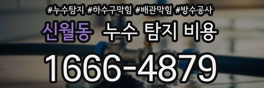 신월동 누수 탐지 비용