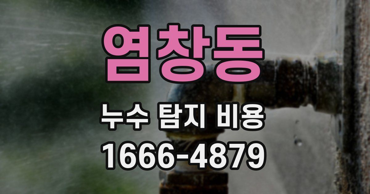염창동 누수 탐지 비용