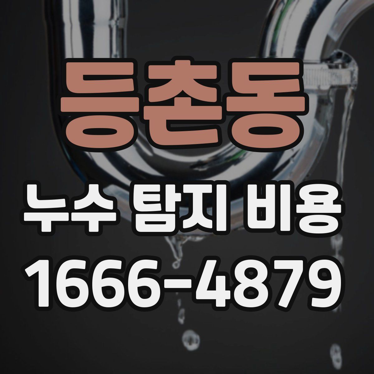 등촌동 누수 탐지 비용
