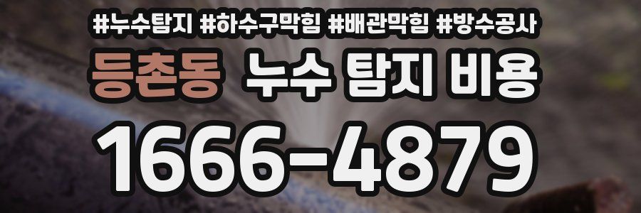 등촌동 누수 탐지 비용