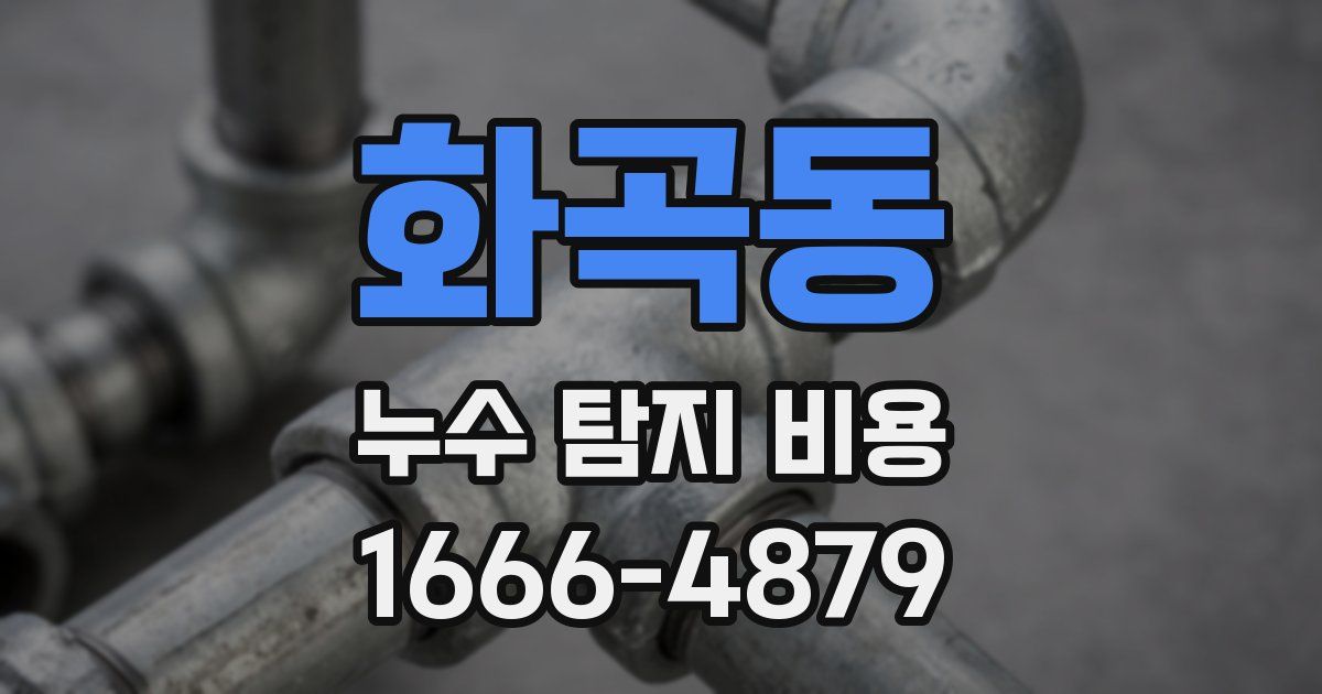 화곡동 누수 탐지 비용