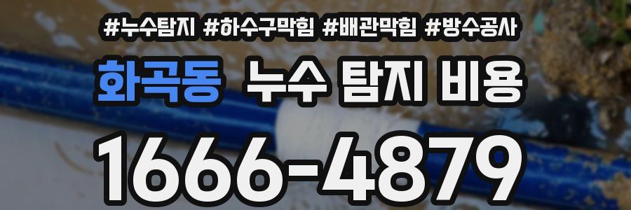 화곡동 누수 탐지 비용