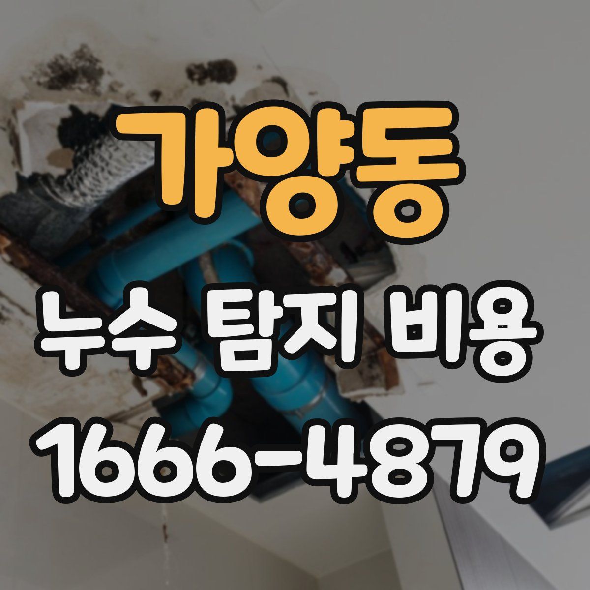 가양동 누수 탐지 비용