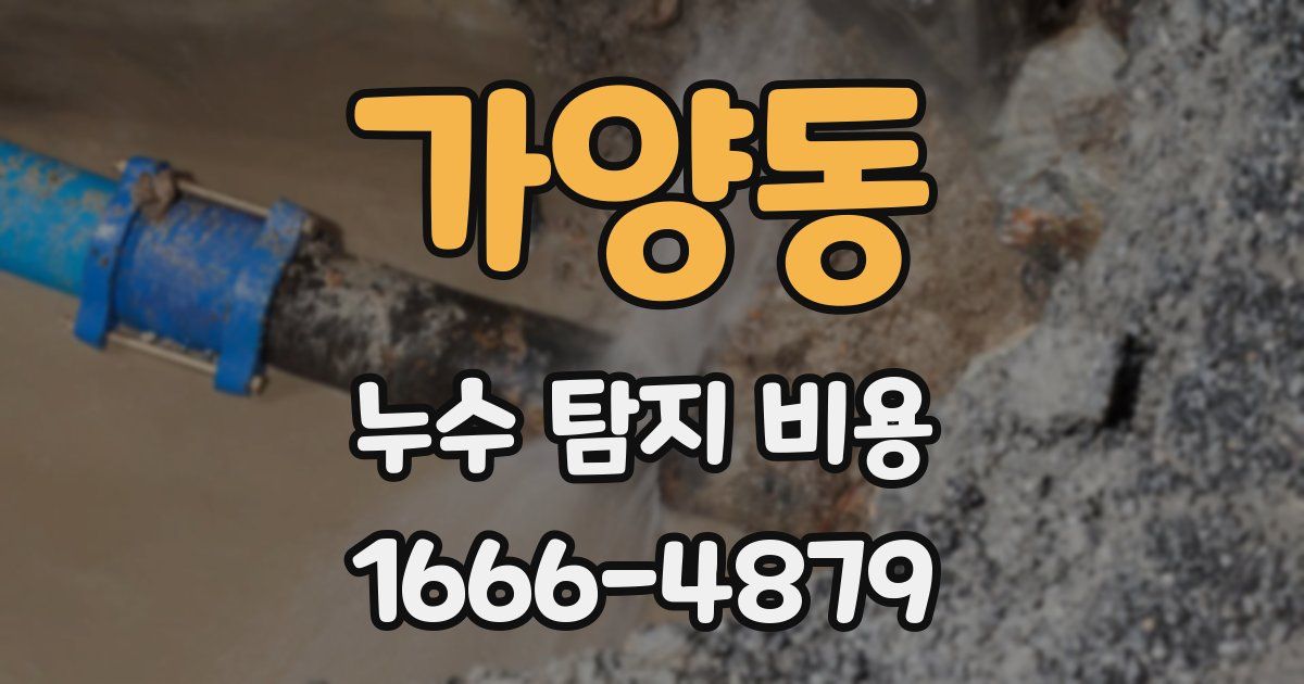 가양동 누수 탐지 비용