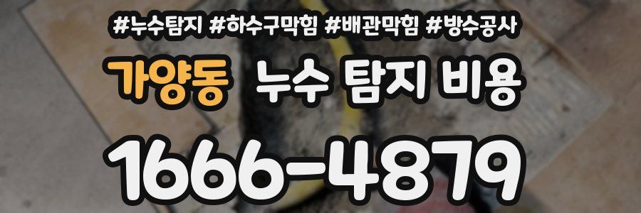 가양동 누수 탐지 비용