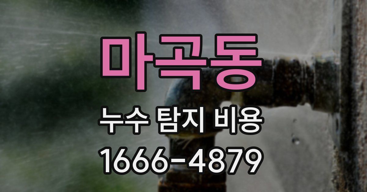 마곡동 누수 탐지 비용