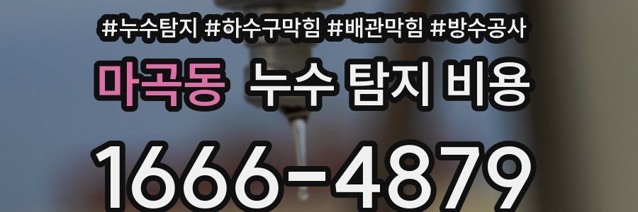 마곡동 누수 탐지 비용