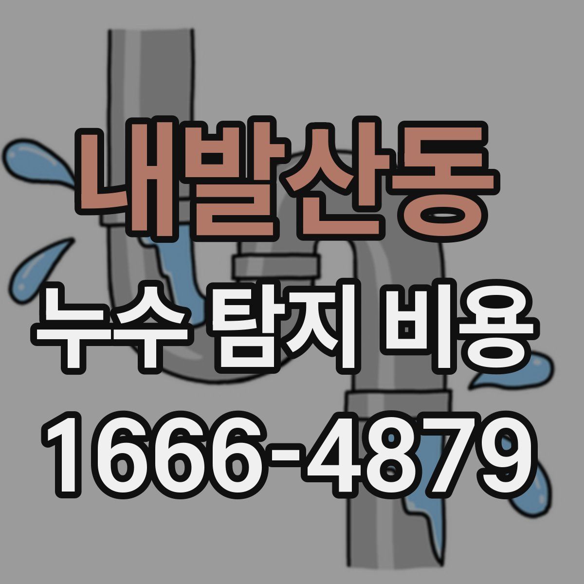 내발산동 누수 탐지 비용
