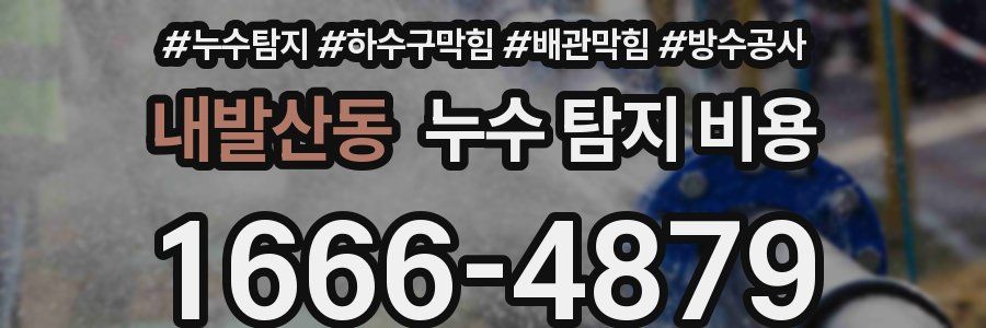 내발산동 누수 탐지 비용