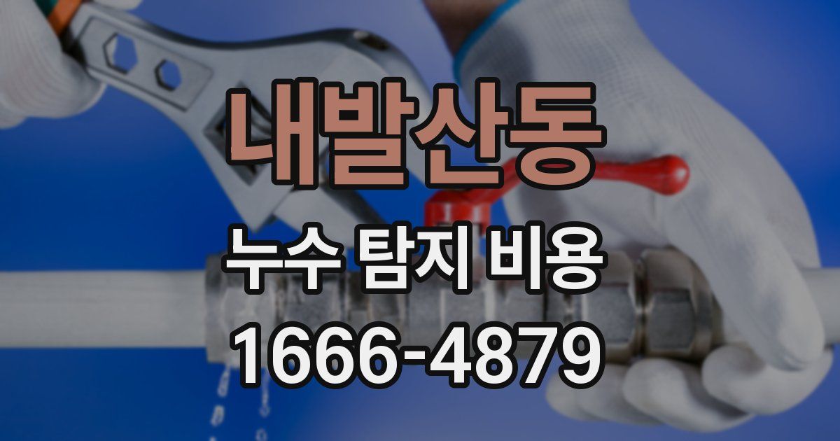 내발산동 누수 탐지 비용