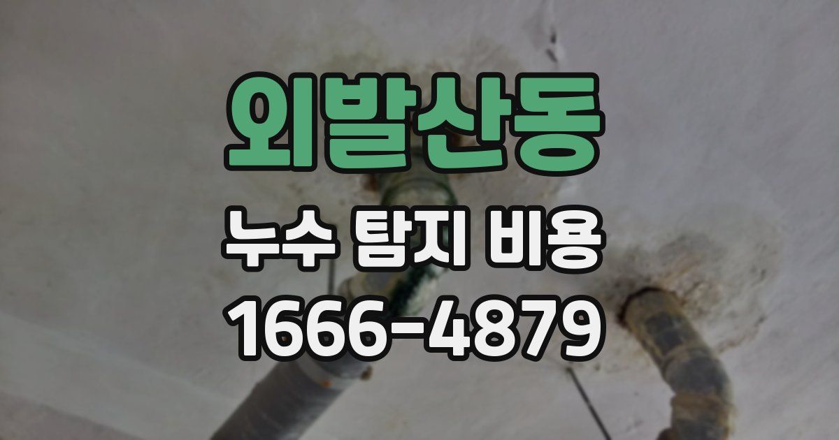 외발산동 누수 탐지 비용