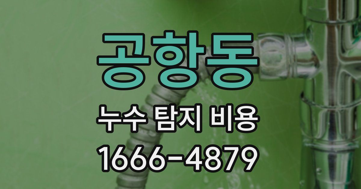 공항동 누수 탐지 비용