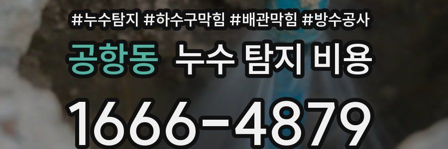 공항동 누수 탐지 비용