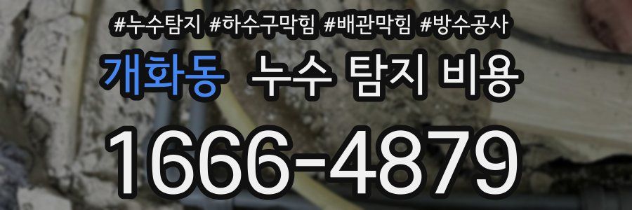 개화동 누수 탐지 비용