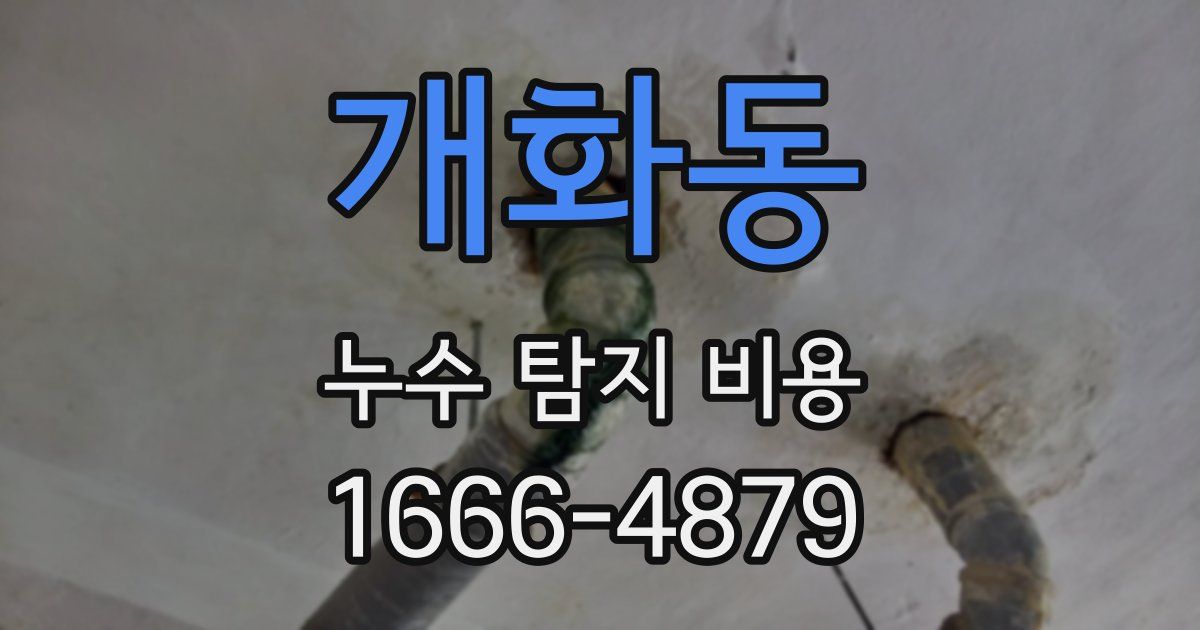 개화동 누수 탐지 비용