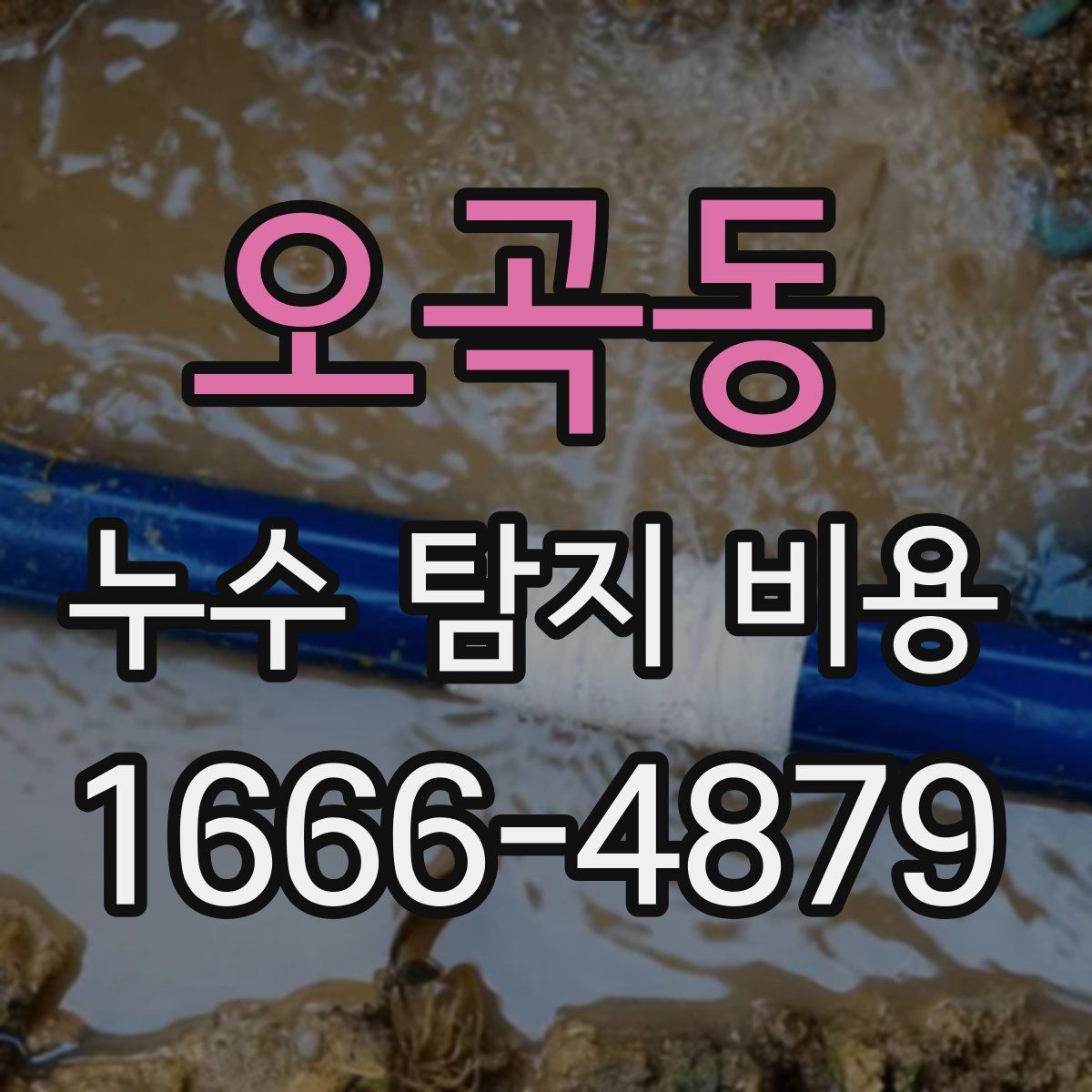오곡동 누수 탐지 비용