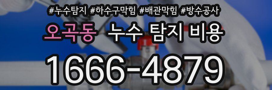 오곡동 누수 탐지 비용