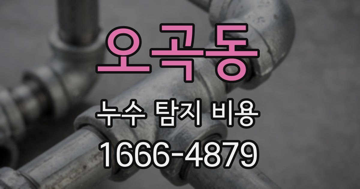 오곡동 누수 탐지 비용