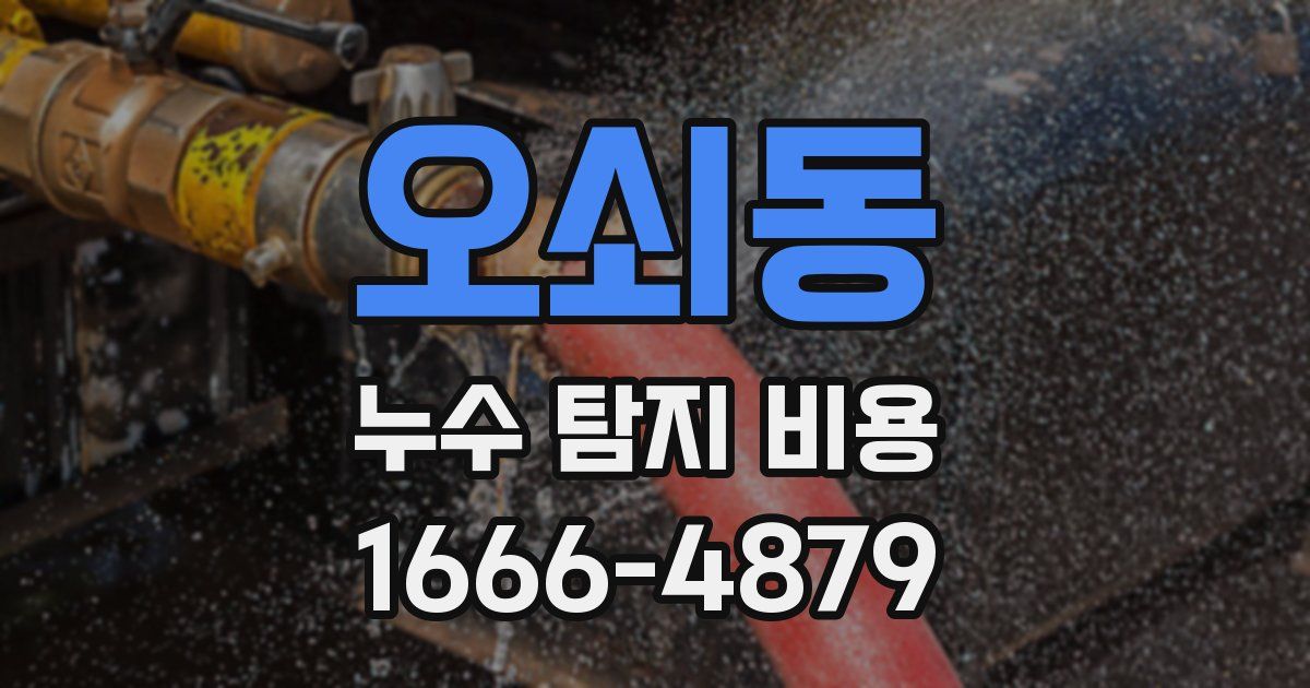 오쇠동 누수 탐지 비용
