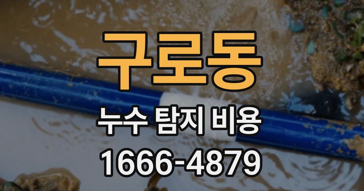 구로동 누수 탐지 비용