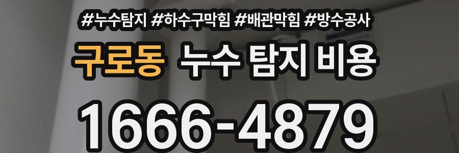 구로동 누수 탐지 비용