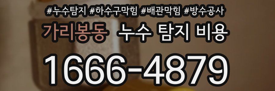 가리봉동 누수 탐지 비용