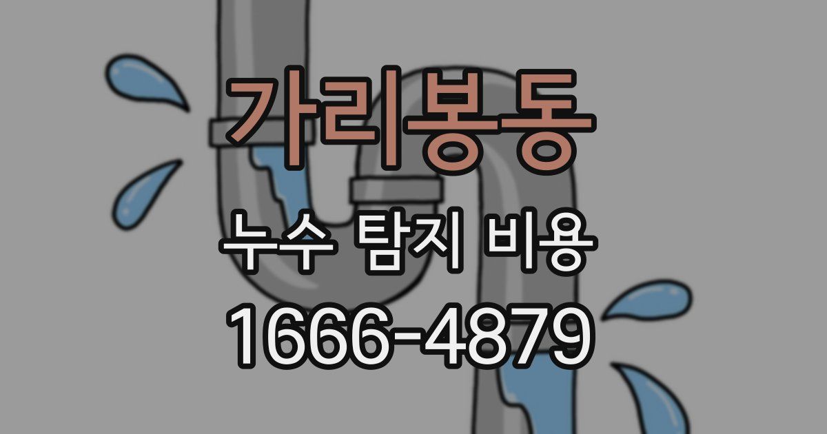 가리봉동 누수 탐지 비용