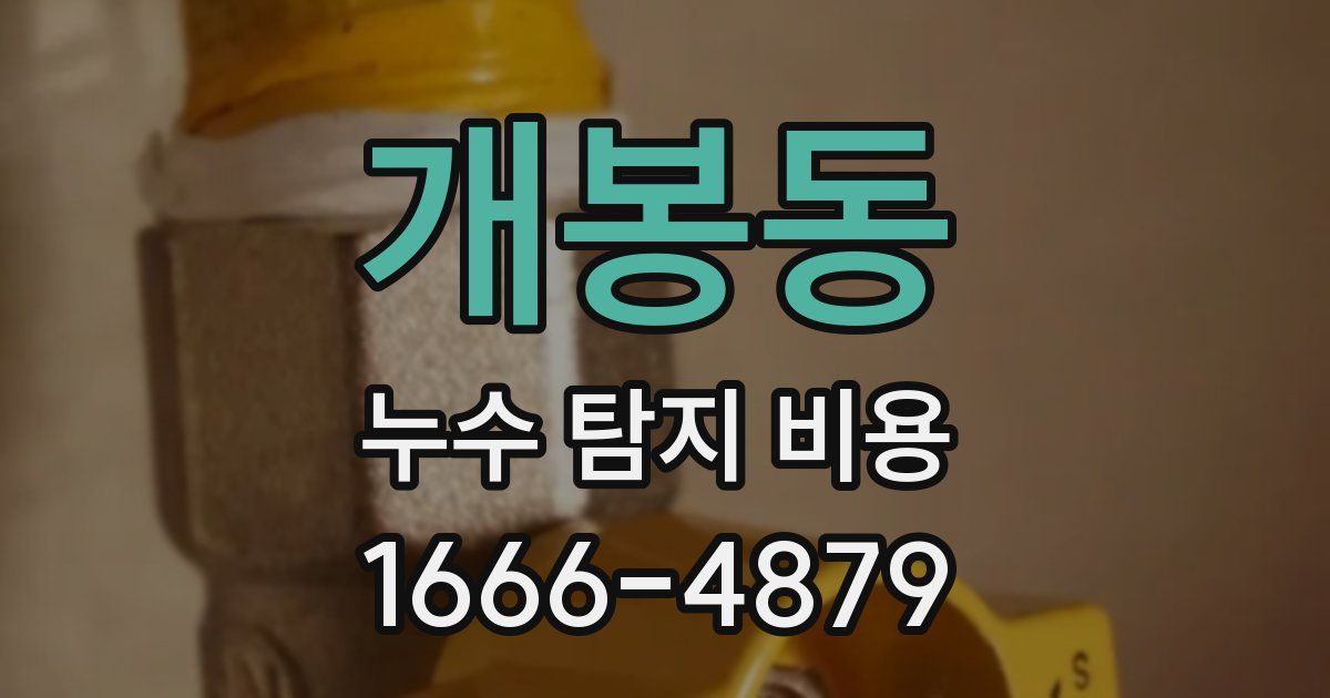 개봉동 누수 탐지 비용