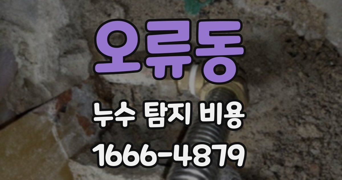 오류동 누수 탐지 비용