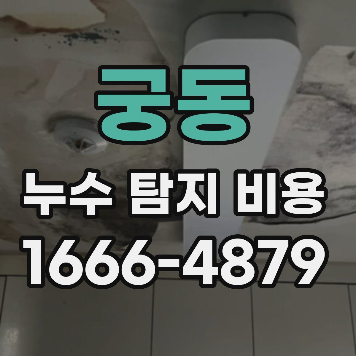 궁동 누수 탐지 비용