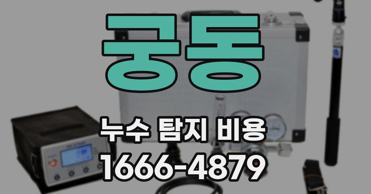 궁동 누수 탐지 비용