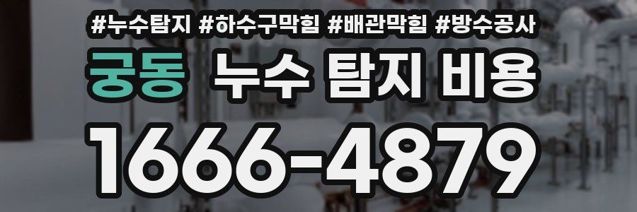 궁동 누수 탐지 비용